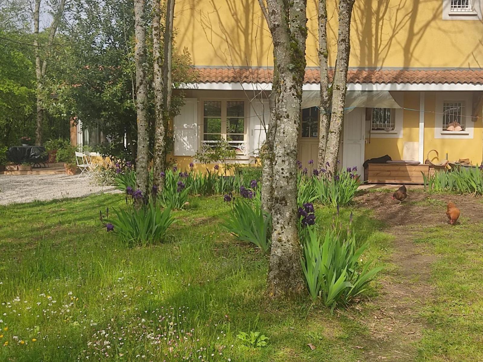 Bed and Breakfast La Frenaie Saint-Cyr-sur-le-Rhone Zewnętrze zdjęcie